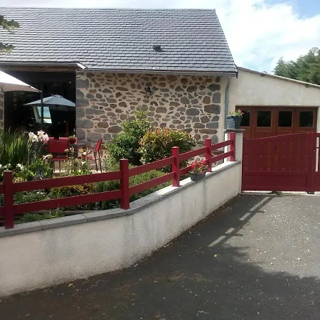 Au Calme Avec Terrasse, Jardin, Cheminee, Proche De Salers Et Piste De - Fr-1-742-41 *