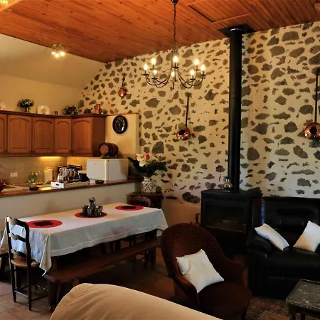 Au Calme Avec Terrasse, Jardin, Cheminee, Proche De Salers Et Piste De - Fr-1-742-41 *