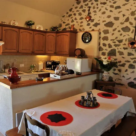 Au Calme Avec Terrasse, Jardin, Cheminee, Proche De Salers Et Piste De - Fr-1-742-41 * Anglards-de-Salers