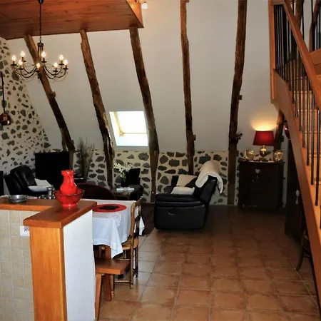 Au Calme Avec Terrasse, Jardin, Cheminee, Proche De Salers Et Piste De - Fr-1-742-41 Anglards-de-Salers